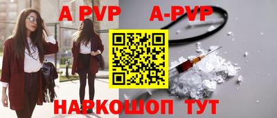 спиды Кингисепп