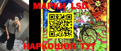спиды Кингисепп