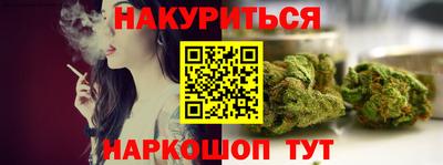 спиды Кингисепп