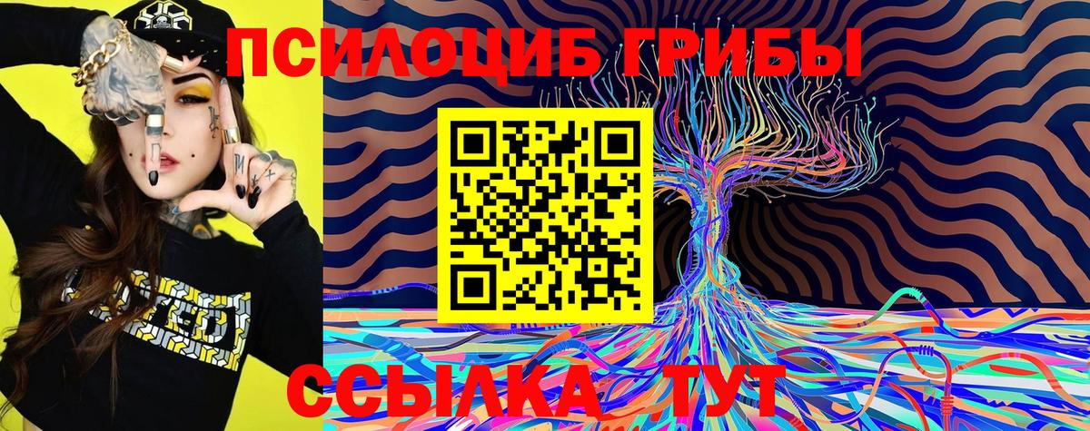 Псилоцибиновые грибы мицелий Кунгур